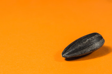 Sunflower seeds in  macro on orange background