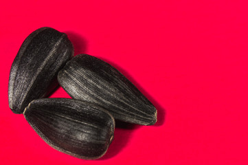 Sunflower seeds in  macro on pink background