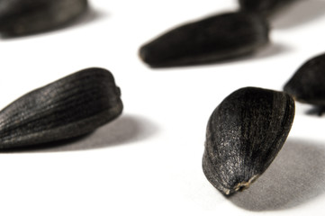 Sunflower seeds in  macro on white background