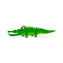 funny crocodile. crocodile smiled. animal character. vector graphic illustration