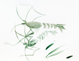 pair of green shrimps drawn in sumi-e style