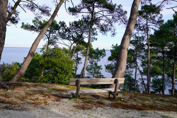 wooden bench looking lake in dune  forest beach Hourtin village in gironde France