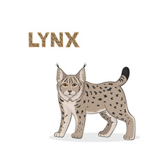 Vector illustration, a cartoon lynx, isolated on a white background