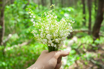 Fototapeta na wymiar Beautiful white lilies of the valley in man's hand in the green spring sunny forest day. Spring, april, may, nature, beautiful plants