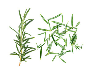 Fototapeta premium Rosemary isolated on white background
