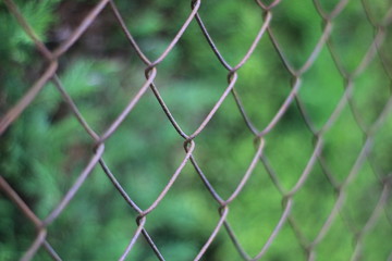 Fototapeta premium Rusty old fence