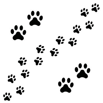 Black Footpath trail of dog prints walking randomly. Animal footprints, dog or cat paws print isolated on white background. Vector illustration of footprint silhouette.