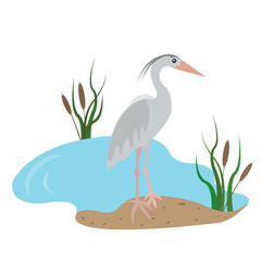 Flat heron illustration. Bird