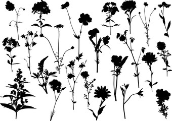 set of twenty three garden flower silhouettes on white