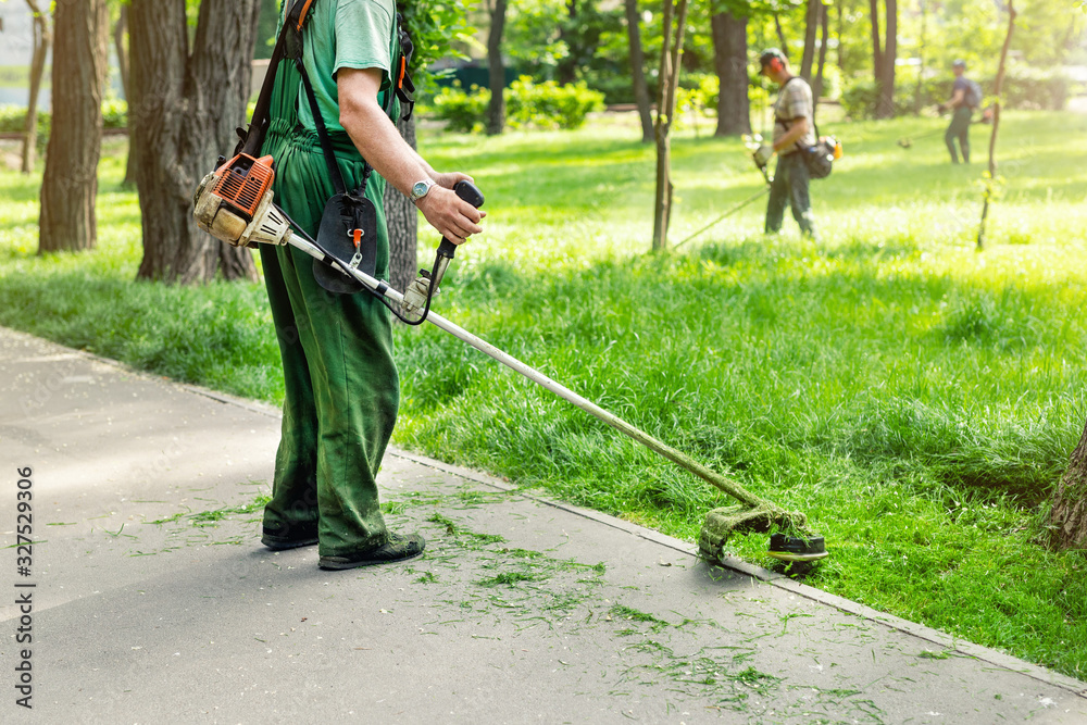 Wall mural worker mowing tall grass with electric or petrol lawn trimmer in city park or backyard. gardening ca