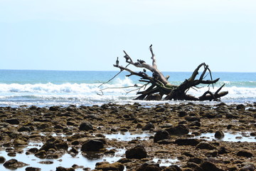 Punta de mita