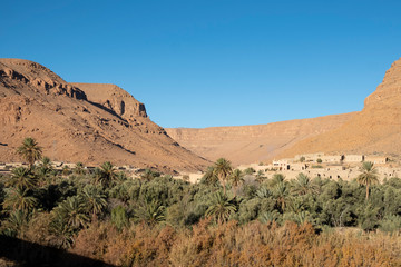 Oasis in the valley of the Ziz River on the southern edge of the Atlas Mountains