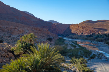 Some data palms in Qued Ziz on the southern edge of the Atlas Mountains