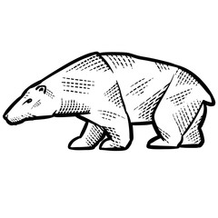 decorative polar bear painted with patterns for logo, label, packaging, tattoo, isolated object on a white background,