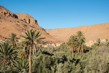 Oasis in the valley of the Ziz River on the southern edge of the Atlas Mountains © JoergSteber