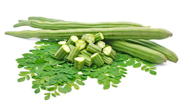 Moringa oleifera isolated on white background