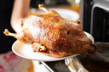 chicken in a cooking bag in an oven