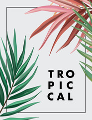 Colorful palm leaves tropical poster design, modern spring pattern background. Banana leaves illustration wallpaper. Jungle party invite in vector