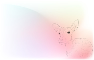 写実的な動物イラスト：玉虫色の背景：雌鹿を前から見た様子