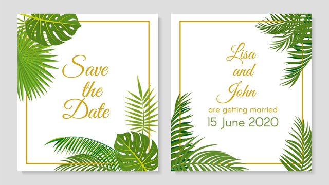Wedding invitation. Tropical leaves simple invitations. Green jungle plants postcards design. Vector floral banners or flyers templates. Illustration palm floral, green save date and invite wedding