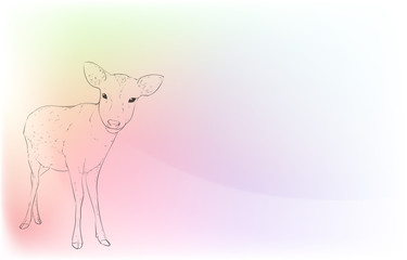 写実的な動物イラスト：玉虫色の背景：雌鹿が見つめる姿