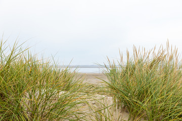 Dunes on the North Sea beach in Germany