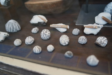 Collection of petrified sea urchins flints displayed in shop window at baltic sea 