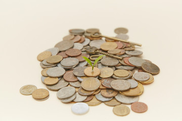 Coin sapling and alarm clock in the piggy bank