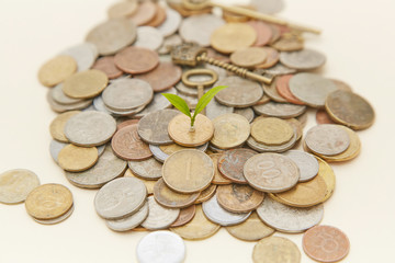 Coin sapling and alarm clock in the piggy bank