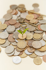 Coin sapling and alarm clock in the piggy bank