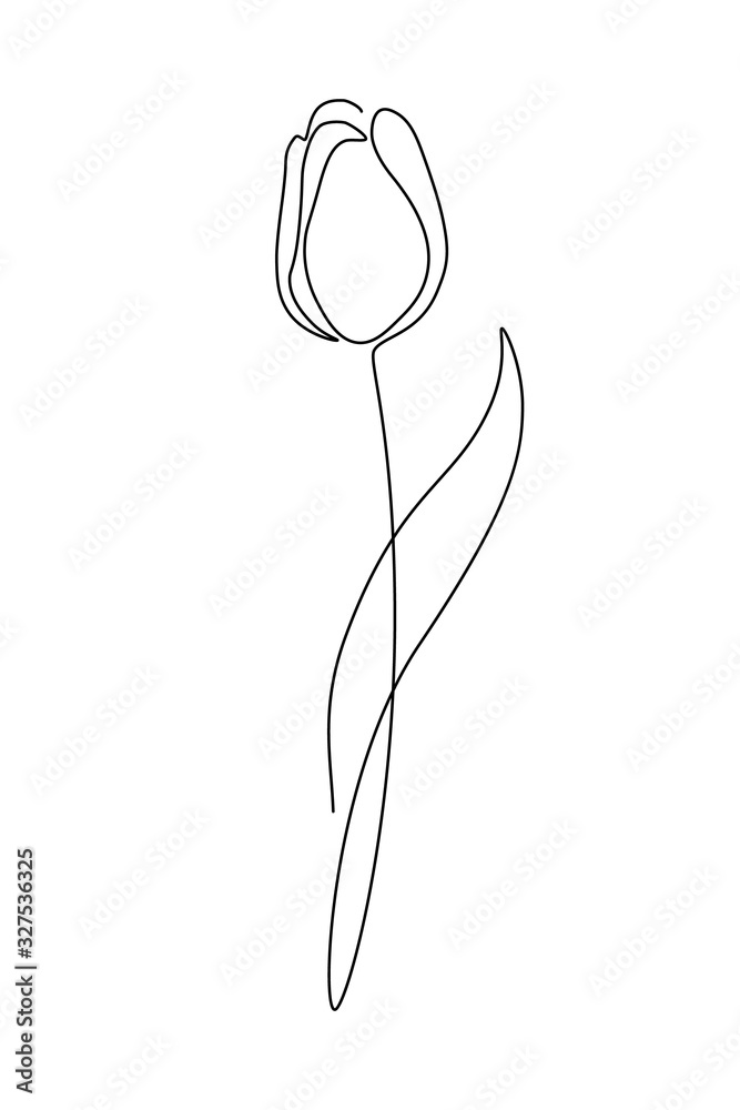 Wall mural Tulip flower in continuous line art drawing style. Minimalist black linear sketch isolated on white background. Vector illustration - Wall murals