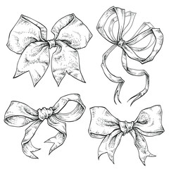 Bows and ribbons hand drawn set. Collection of vector various bow ties 