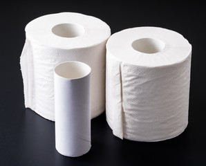 トイレットペーパーと芯