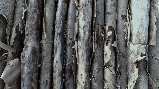 background of branches of the same thickness laid out in a row, smooth movement of the camera from left to right