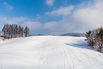 Winter snowfall landscape in Daegwallyeong area, Gangwon-do