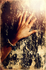 Beautiful womans hands on birch crust, old photo effect.