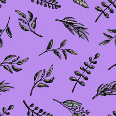 Collection of highly detailed hand drawn graphic black leaves and herbs isolated on white background seamless pattern