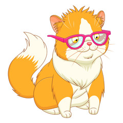 Fluffy cat in pink glasses