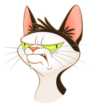 cat angry face cartoon cute 14320311 PNG