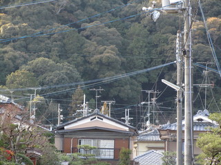 landscape from japan