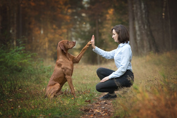Dog giving a high five to the owner. - 327542160