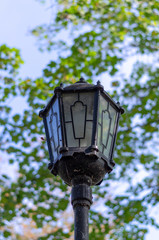 Dirty street lamp against the background of green branches