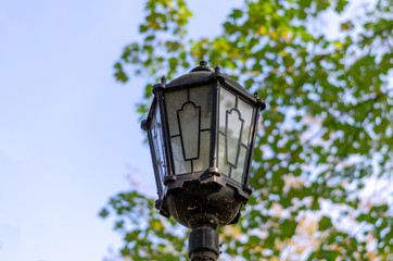 Dirty street lamp against the background of green branches and the sky