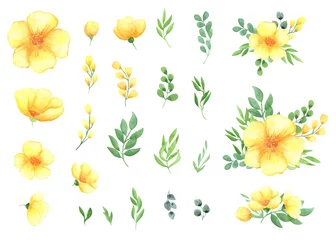 Abwaschbare Fototapete illustration watercolor a set of yellow flowers and green leaves of twigs, floral arrangements isolated on a white background. spring mood. for design, invitations, wedding, decoration © Ekaterina Urvantseva