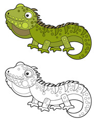 cartoon sketchbook american happy and funny lizard iguana isolated on white background - illustration