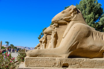 Avenue of the ram-headed Sphinxes in a Karnak Temple. Luxor, Egypt