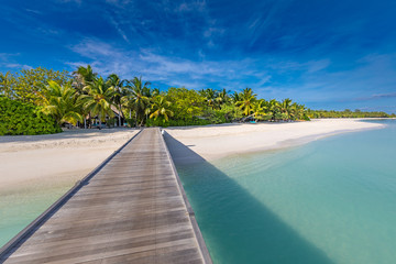 Fototapeta na wymiar Maldives island as tropical landscape, beach. Exotic coastline with palm trees, beach swing and long wooden jetty. Luxury travel and summer vacation background design