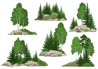 Set Landscapes, Isolated on White Background Coniferous and Deciduous Trees and Grass on the Rocks. Vector