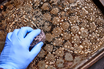 Cleaning a dirty oven pan with a metal sponge and detergent.