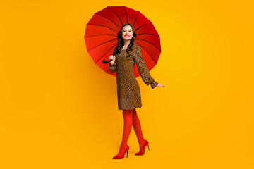 Full length body size view of her she nice attractive lovely pretty feminine cheerful cheery...